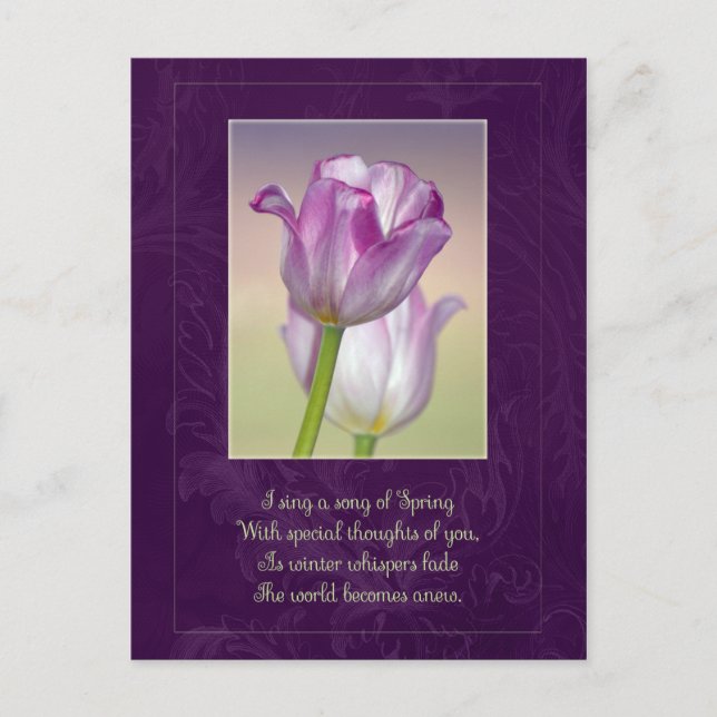 Bonne carte postale de Pâques / Tulipes de Pâques (Devant)