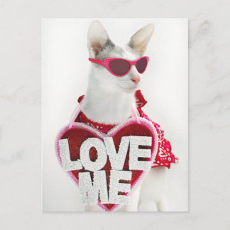 Bonne carte postale de Valentine par Skeezix le ch