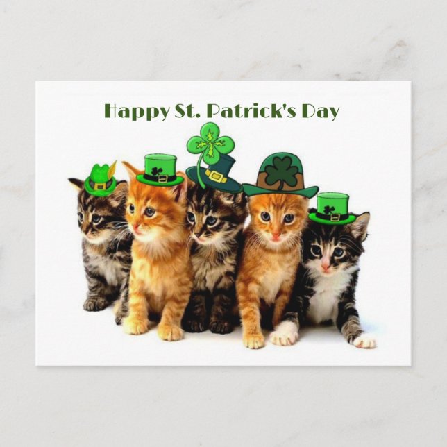 Bonne carte postale des chats du jour St. Patrick (Devant)
