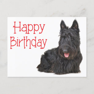 Bonne carte postale écossaise Terrier Puppy Annive