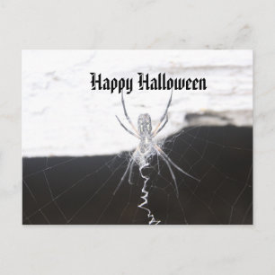 Bonne carte postale Halloween