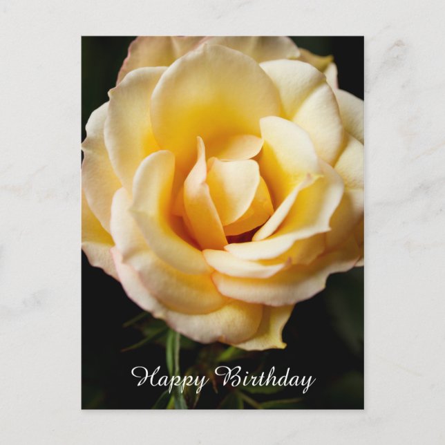 Bonne carte postale Rose d'anniversaire (Devant)