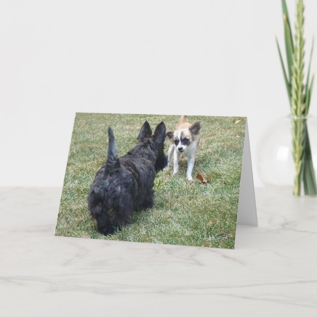 Bonne carte Scottish Terrier & Friend (Devant)