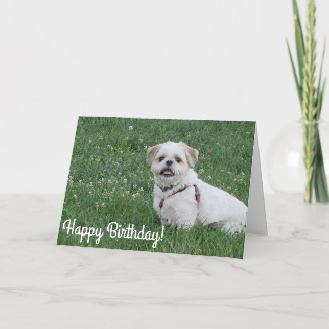 Bonne carte tzu Shih anniversaire (Devant)