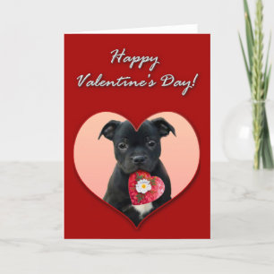 Bonne carte Valentine's Staffordshire Bull Terrier