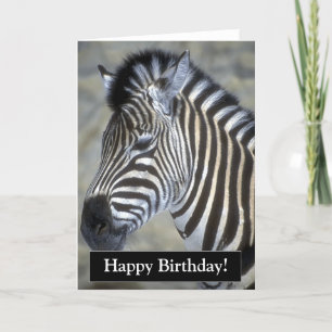 Bonne carte Zebra pour anniversaire