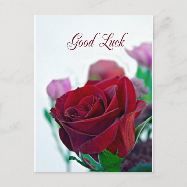 Bonne chance carte avec une rose rouge classique (Devant)