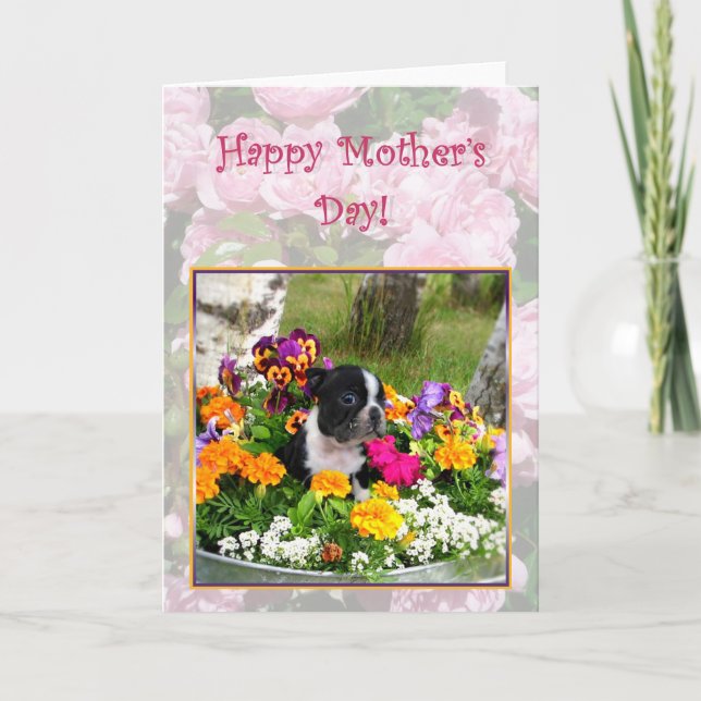 Bonne fête des mères Boston Terrier Carte de voeux (Devant)