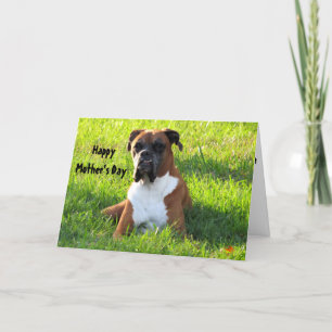 Bonne fête des mères ... Carte de chien de boîte