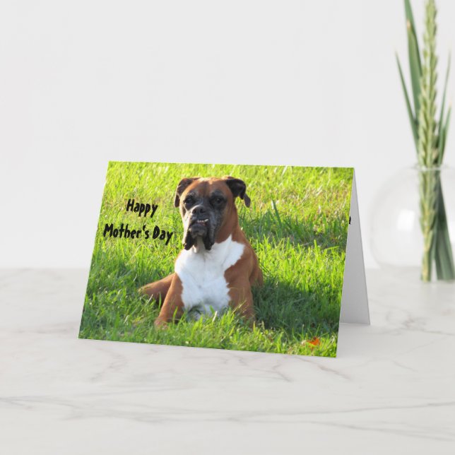 Bonne fête des mères ... Carte de chien de boîte (Devant)