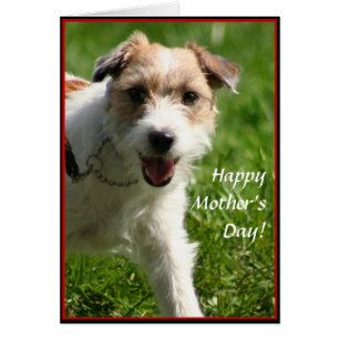 Bonne fête des mères Carte Jack Russell Terrier