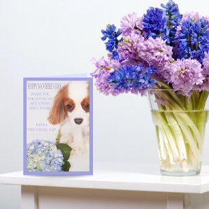 Bonne fête des mères Cavalier avec carte Hydrangea