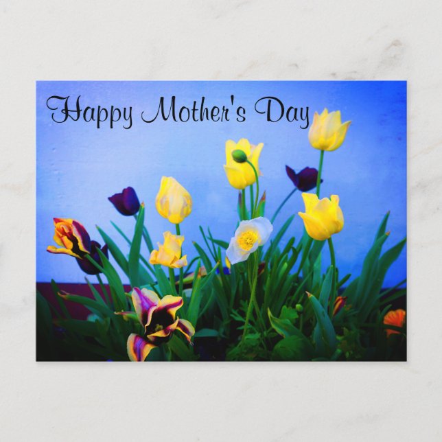 Bonne fête des mères Diverses Tulipes #2 Carte pos (Devant)
