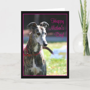 Bonne fête des mères Greyhound carte de voeux