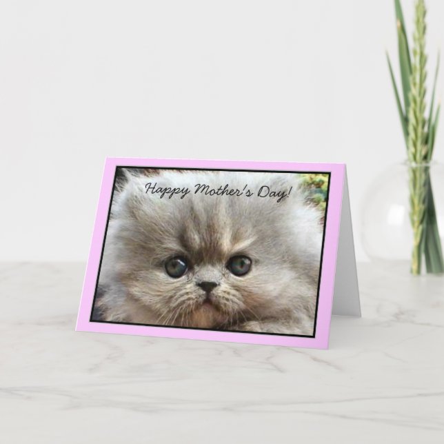 Bonne fête des mères Persian Kitten carte de voeux (Devant)