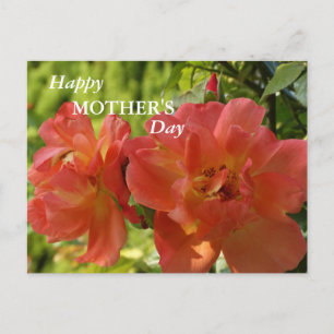 Bonne fête des mères Pink Roses Carte postale