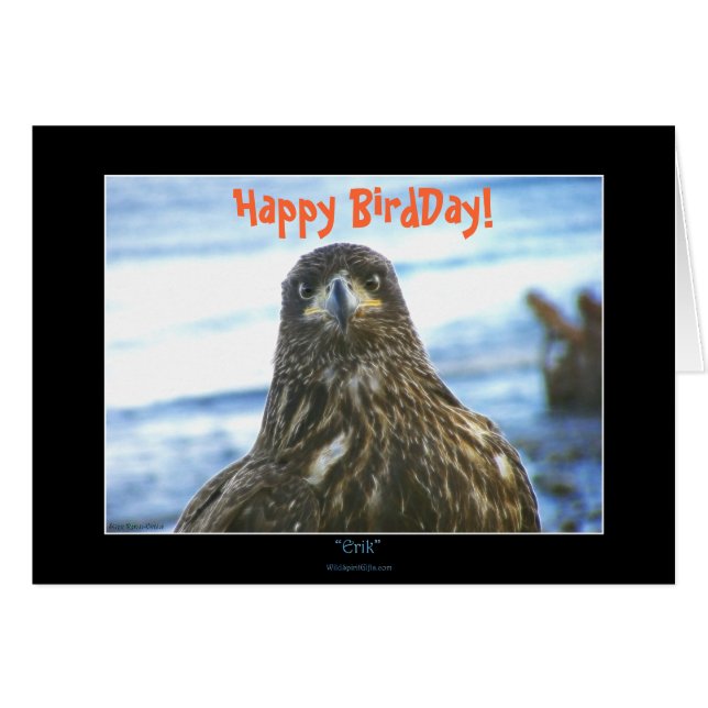 Bonne fête des oiseaux ! Carte de voeux Bald Eagle (Devant Horizontal)