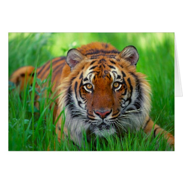 Bonne Fête des pères (Devant horizontal)