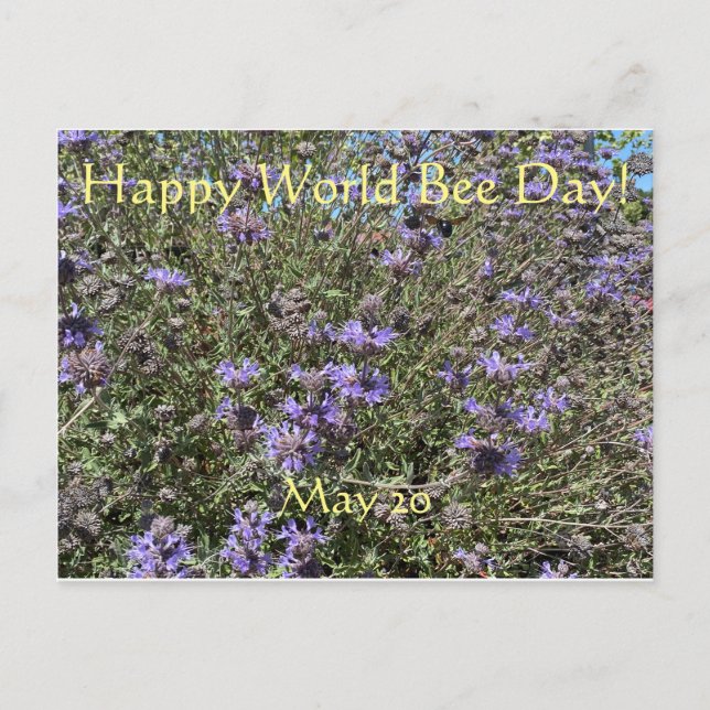 Bonne Journée mondiale de l'abeille ! Carte postal (Devant)
