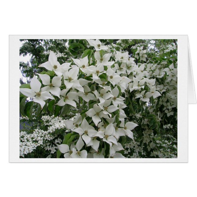 Bonne nouvelle vie ensemble (Devant horizontal)