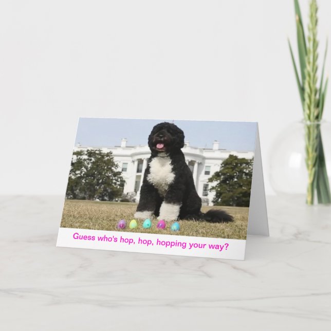 Bonne Pâques - Carte de voeux Bo Obama (Devant)