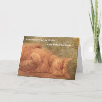 Bonne planification de la carte de chat pour votre