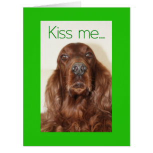 Bonne Saint Patrick's Day