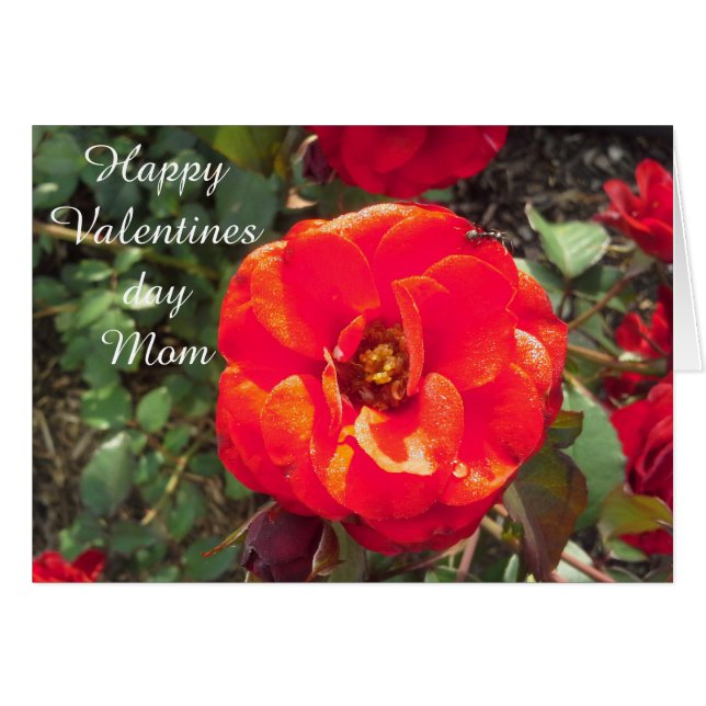 BONNE VALENTINES DAY MOM card (Devant horizontal)