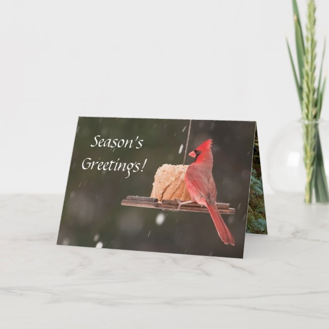BONNES FÊTES ! Cartes de Noël (Devant)