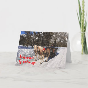 Bonnes Fêtes Chevaux Motoneige Snowy Carte photo