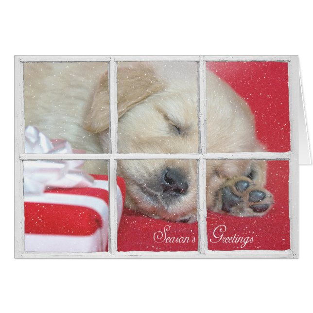Bonnes Fêtes-golden retriever pup (Devant horizontal)