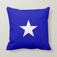 Bonnie Blue Flag
