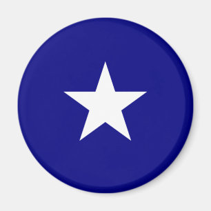 Bonnie Blue Flag Magnet