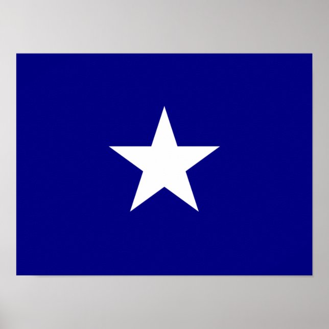 Bonnie Blue Flag White Star Poster (Vorne)