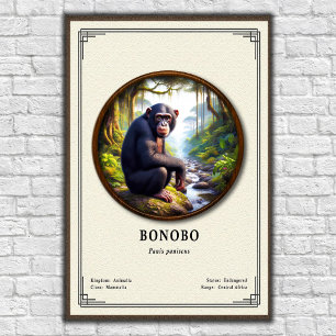 Bonobo-Zoologie-Serie Poster