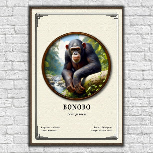 Bonobo-Zoologie-Serie Poster