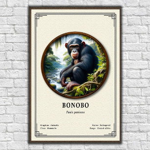 Bonobo-Zoologie-Serie Poster