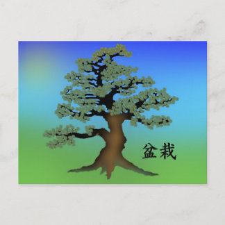 Bonsai 08 postkarte
