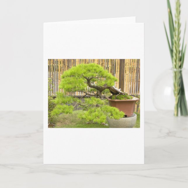 Bonsai/Chinesische Landschaft Feiertagskarte (Vorderseite)
