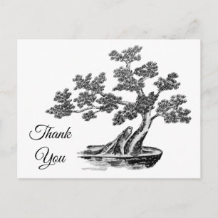 Bonsai - Chinesischer Stil - Schwarzweiß Postkarte