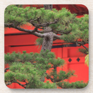 Bonsai-Kiefer Getränkeuntersetzer