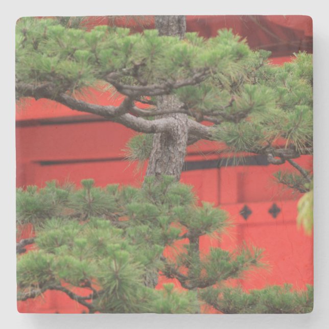 Bonsai-Kiefer Steinuntersetzer (Vorderseite)