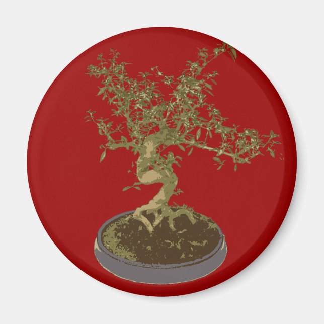 Bonsai Magnet (Vorne)