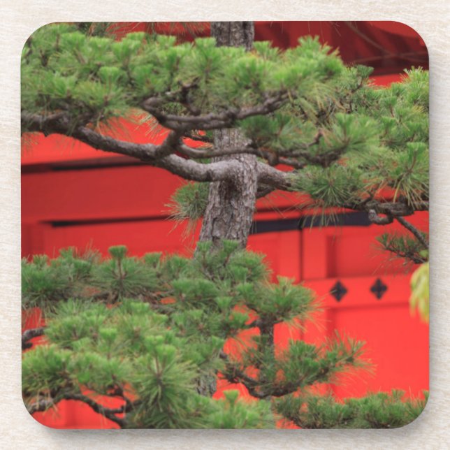 Bonsai Pine Tree Getränkeuntersetzer (Vorderseite)