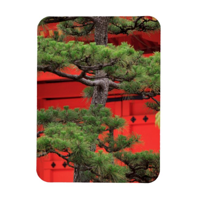 Bonsai Pine Tree Magnet (Vertikal)