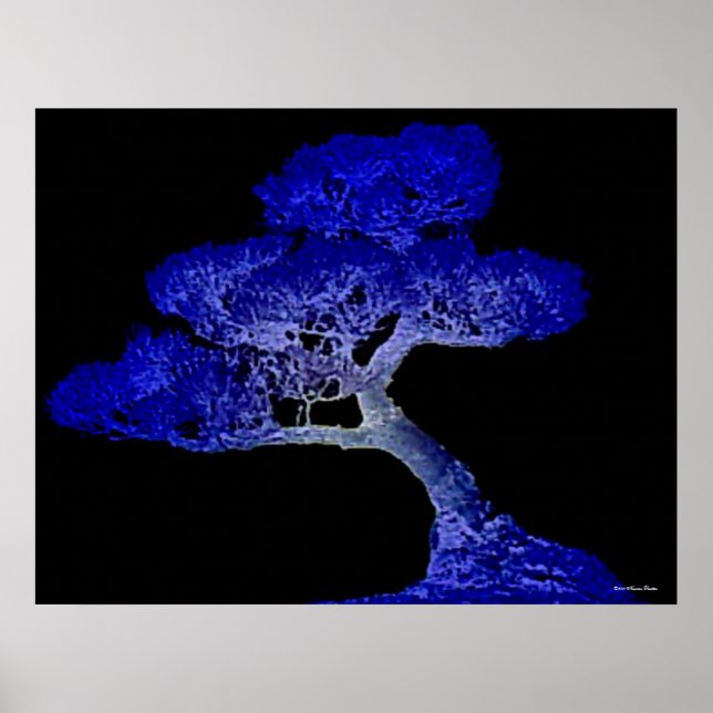 Bonsai Print Poster (Vorne)