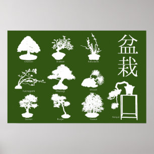 Bonsai Tree Basic Styles 10 Poster
