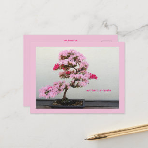 Bonsai Tree Postkarte