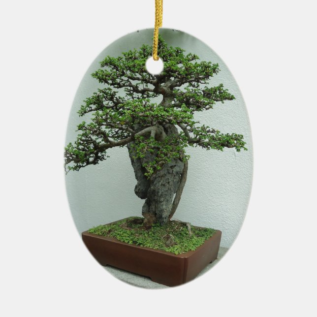 Bonsais Keramik Ornament (Vorne)