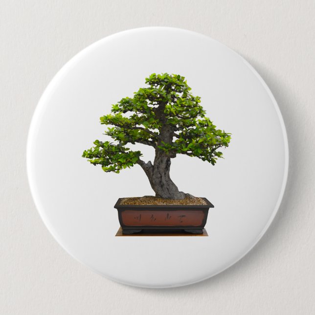Bonsaisbaum Button (Vorderseite)